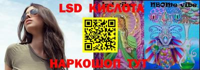 apvp Славгород