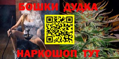 apvp Славгород