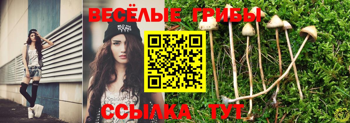 Галлюциногенные грибы мицелий  Вход с VPN  Обнинск 