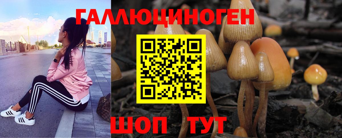 Галлюциногенные грибы ЛСД Обнинск